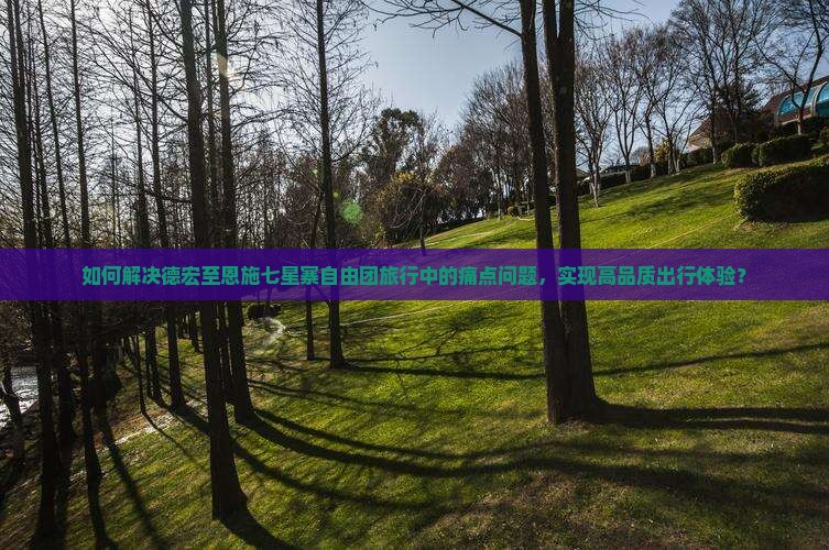 如何解决德宏至恩施七星寨自由团旅行中的痛点问题，实现高品质出行体验？