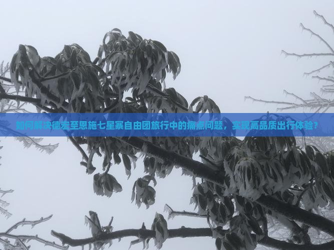 如何解决德宏至恩施七星寨自由团旅行中的痛点问题，实现高品质出行体验？