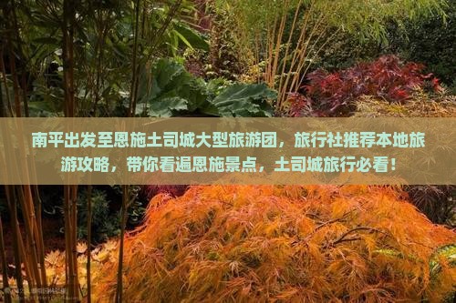 南平出发至恩施土司城大型旅游团，旅行社推荐本地旅游攻略，带你看遍恩施景点，土司城旅行必看！