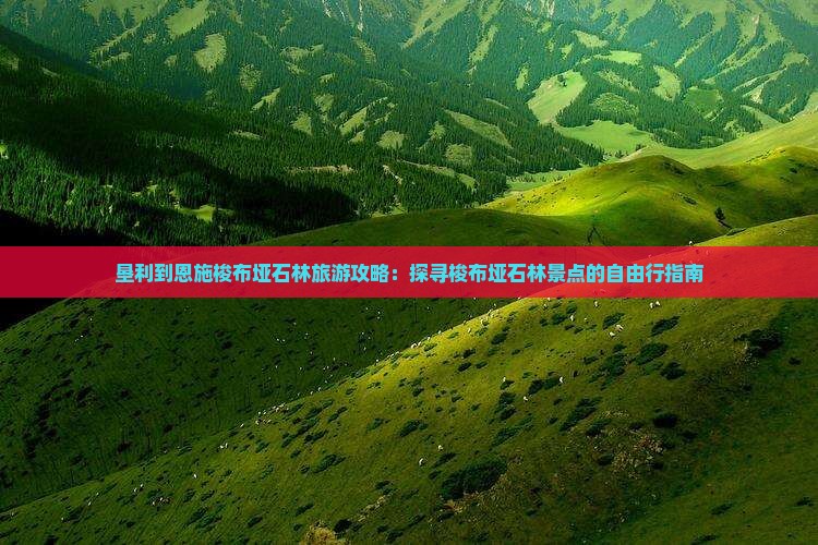 垦利到恩施梭布垭石林旅游攻略：探寻梭布垭石林景点的自由行指南