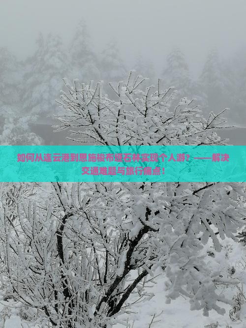 如何从连云港到恩施梭布垭石林实现个人游?——解决交通难题与旅行痛点! 如何从连云港到恩施梭布垭石林实现个人游?——解决交通难题与旅行痛点!