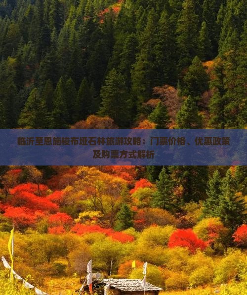 临沂至恩施梭布垭石林旅游攻略：门票价格、优惠政策及购票方式解析
