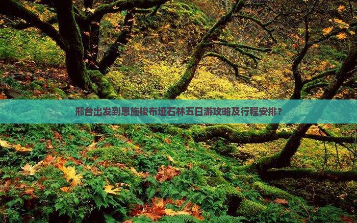 邢台出发到恩施梭布垭石林五日游攻略及行程安排？