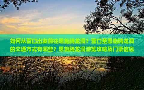 如何从营口出发前往恩施腾龙洞？营口至恩施腾龙洞的交通方式有哪些？恩施腾龙洞游览攻略及门票信息是什么？