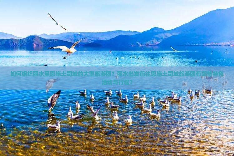 如何组织丽水至恩施土司城的大型旅游团？丽水出发前往恩施土司城旅游团有哪些特色活动与行程？