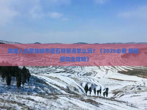 武威到恩施梭布垭石林景点