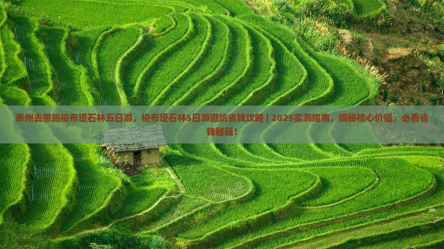 泰州去恩施梭布垭石林五日游