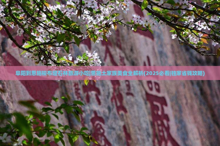 阜阳到恩施梭布垭石林旅游小吃