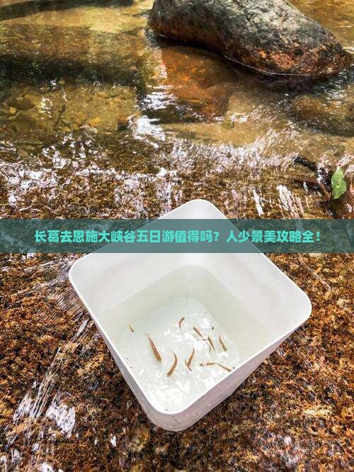 长葛去恩施大峡谷五日游