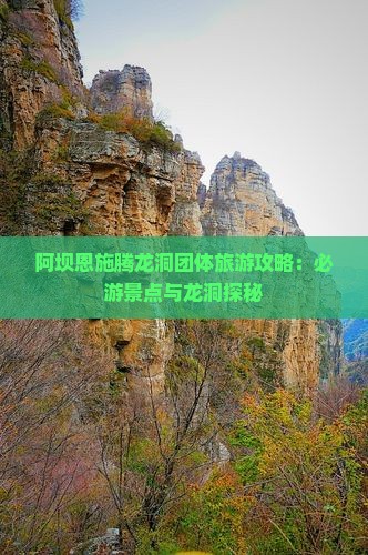 阿坝去恩施腾龙洞团体旅游