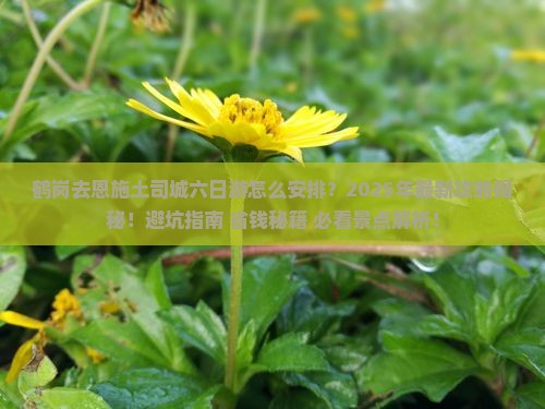 鹤岗去恩施土司城六日游