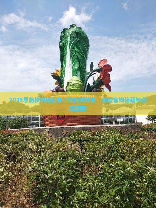 五月到恩施梭布垭石林旅游小吃