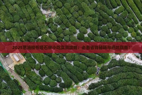 五月到恩施梭布垭石林旅游小吃