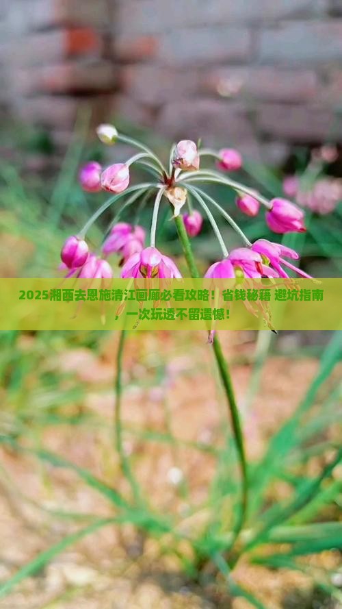 湘西去恩施清江画廊攻略