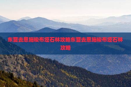 东营去恩施梭布垭石林攻略