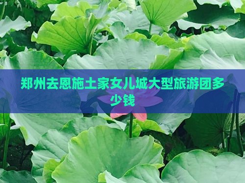 郑州去恩施土家女儿城大型旅游团