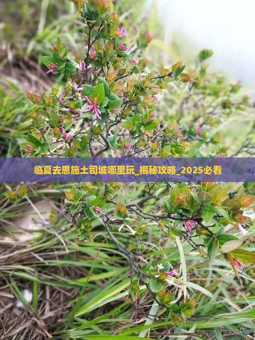 临夏去恩施土司城哪里玩