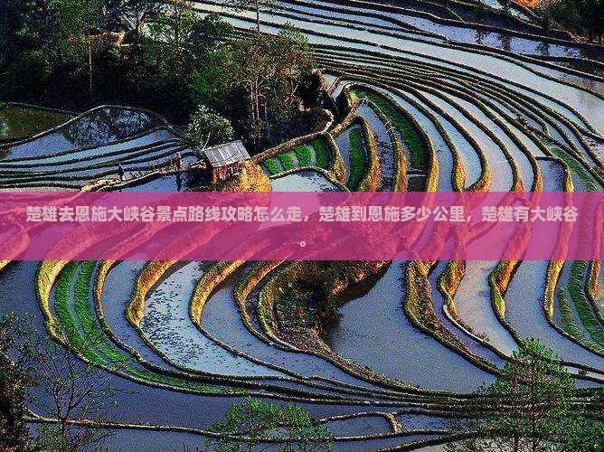 楚雄去恩施大峡谷景点