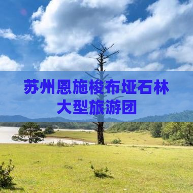 苏州到恩施梭布垭石林大型旅游团