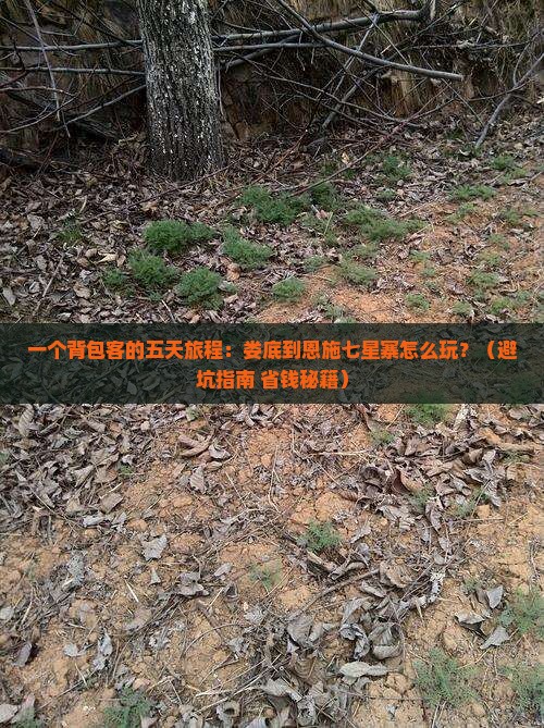 娄底到恩施七星寨五日游