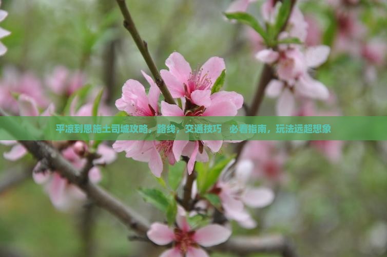 平凉到恩施土司城攻略