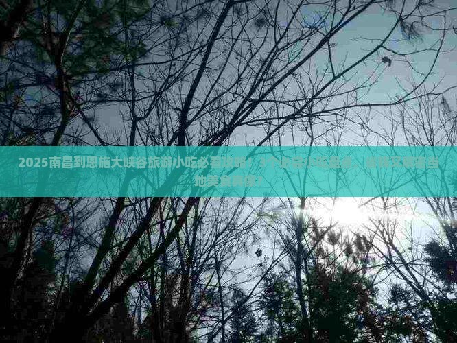 南昌到恩施大峡谷旅游小吃