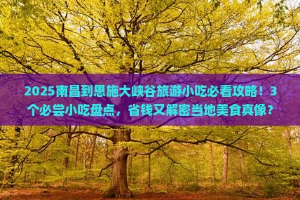 南昌到恩施大峡谷旅游小吃