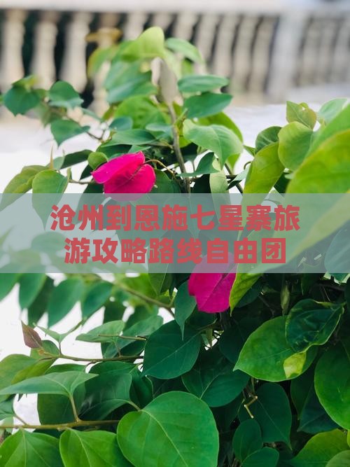 沧州到恩施七星寨自由团