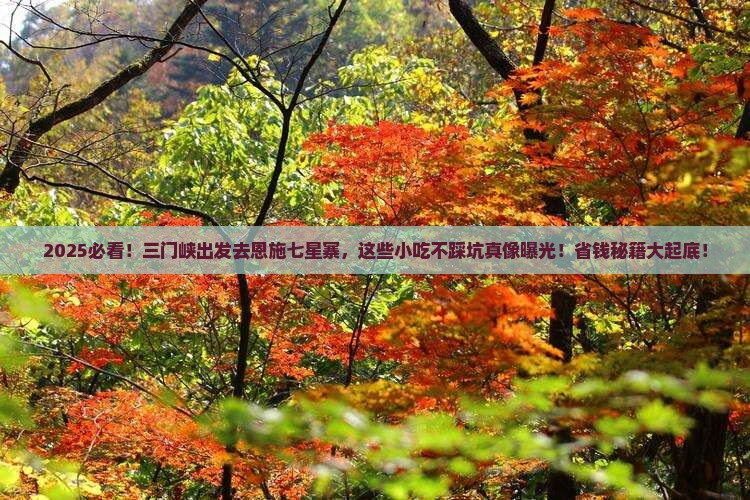 三门峡到恩施七星寨旅游小吃