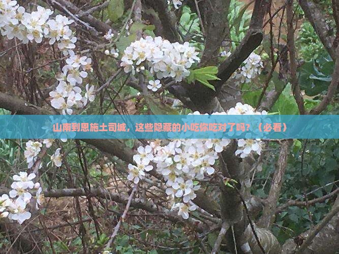 山南到恩施土司城旅游小吃