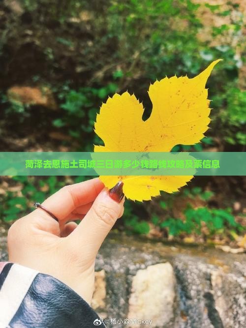 菏泽去恩施土司城三日游