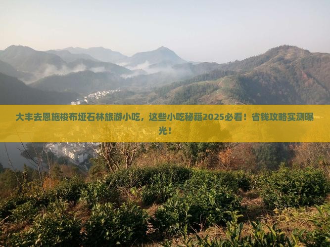 大丰去恩施梭布垭石林旅游小吃