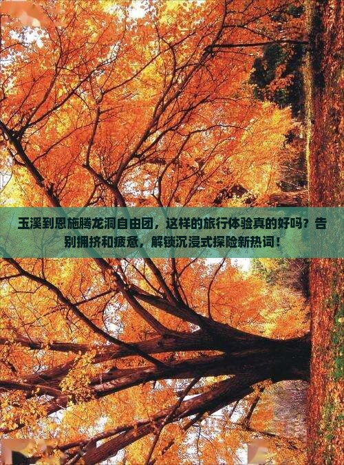 玉溪到恩施腾龙洞自由团