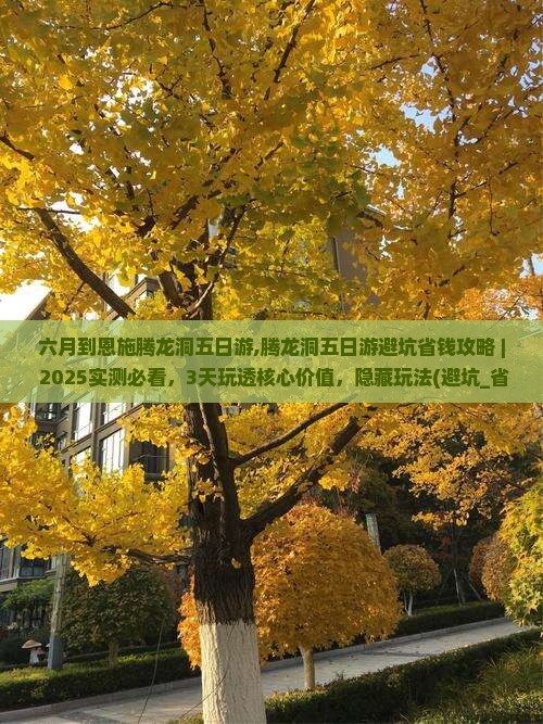 六月到恩施腾龙洞五日游