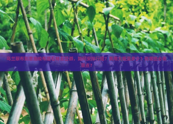 乌兰察布到恩施梭布垭石林五日游，如何安排行程？费用大概是多少？有哪些必看景点？