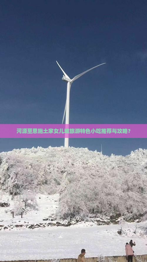 河源至恩施土家女儿城旅游特色小吃推荐与攻略？