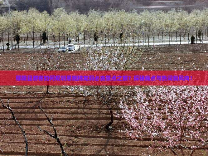 鄢陵县游客如何规划恩施腾龙洞必去景点之旅？探秘痛点与热词新风向！