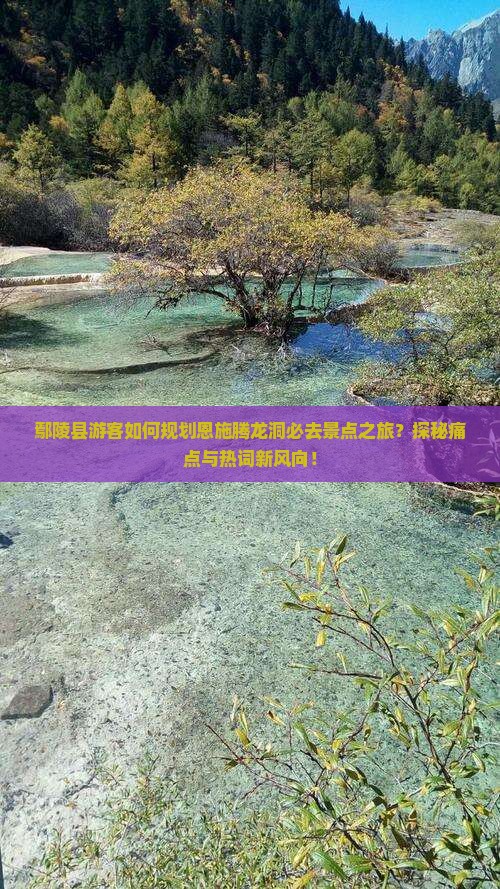 鄢陵县游客如何规划恩施腾龙洞必去景点之旅？探秘痛点与热词新风向！