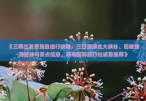 《三明出发恩施自由行攻略：三日游湖北大峡谷、司城旅游路线与景点信息，湖南国际旅行社诚意推荐》