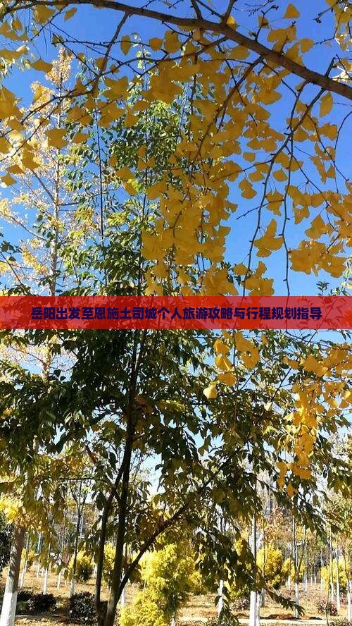 岳阳出发至恩施土司城个人旅游攻略与行程规划指导