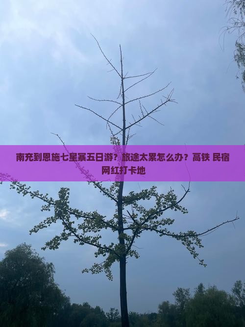 南充到恩施七星寨五日游？旅途太累怎么办？高铁+民宿+网红打卡地