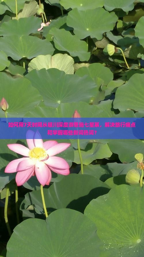 如何用7天时间从银川深度游恩施七星寨，解决旅行痛点和掌握哪些新词热词？