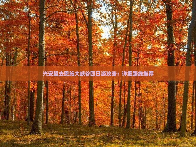 兴安盟去恩施大峡谷四日游攻略：详细路线推荐