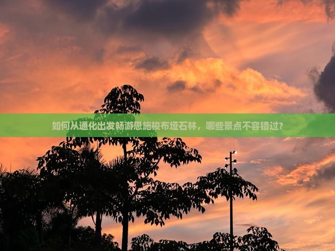 如何从通化出发畅游恩施梭布垭石林，哪些景点不容错过？