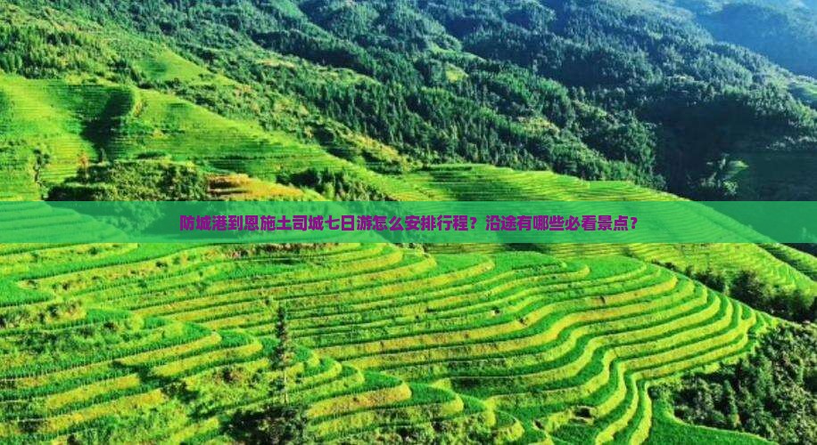 防城港到恩施土司城七日游怎么安排行程？沿途有哪些必看景点？