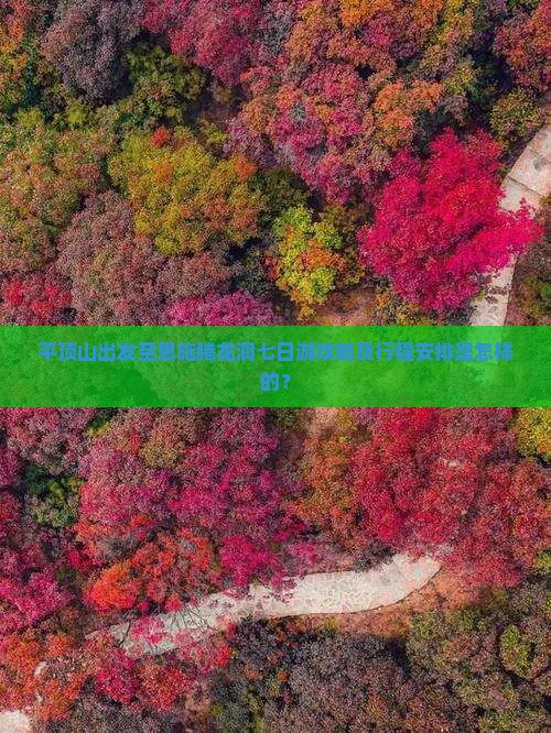 平顶山出发至恩施腾龙洞七日游攻略及行程安排是怎样的？