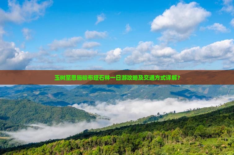 玉树至恩施梭布垭石林一日游攻略及交通方式详解? 玉树至恩施梭布垭石林一日游攻略及交通方式详解?