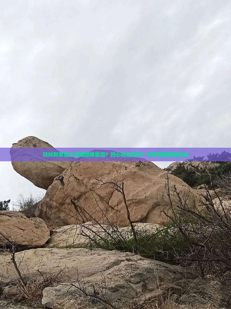 铁岭到恩施土司城团体旅游？担心错过高铁？快来看团建新玩法
