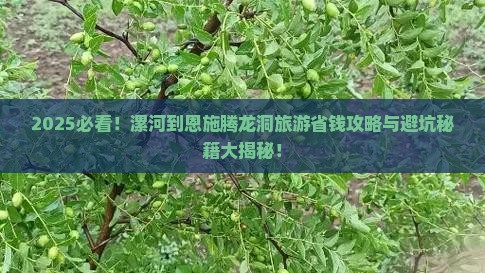 漯河到恩施腾龙洞旅游
