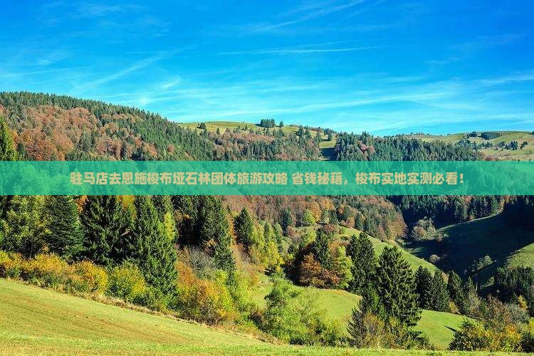 驻马店去恩施梭布垭石林团体旅游 驻马店去恩施梭布垭石林团体旅游